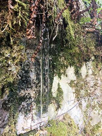 IMG_7261 copy