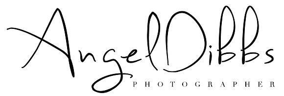 AngelDibbsPhotographyLogoBlack copy