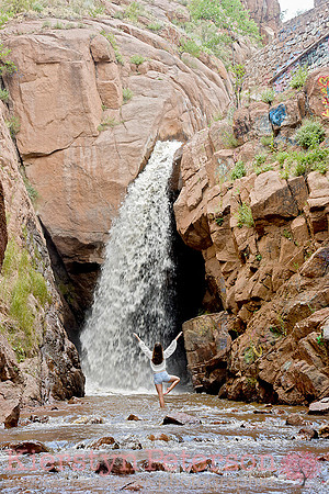 Gwenny CO-100 copy