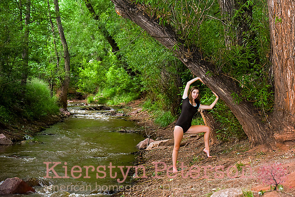 Gwenny CO-216 copy