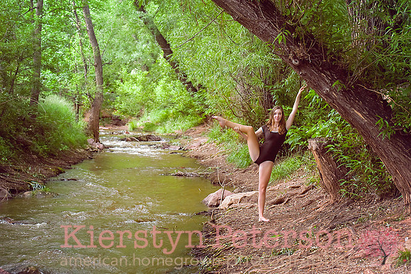 Gwenny CO-222 copy