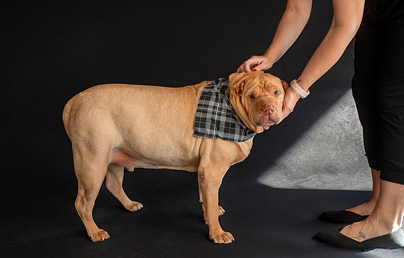 Elton - 03.02.2024 - 102