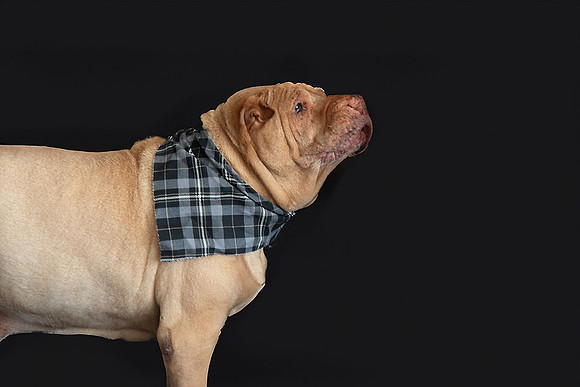 Elton - 03.02.2024 - 104 fb