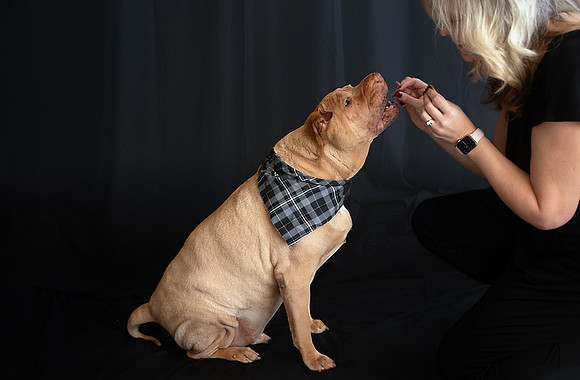 Elton - 03.02.2024 - 105 fb