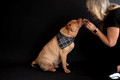 Elton - 03.02.2024 - 107 fb