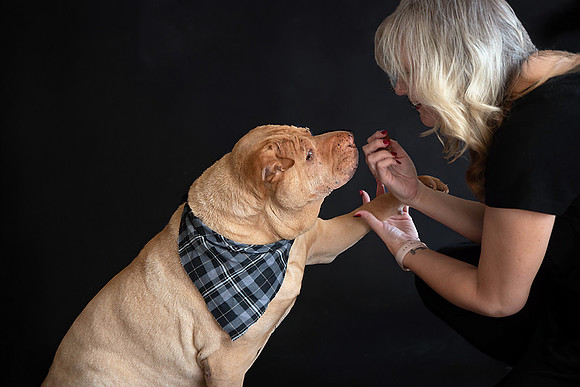 Elton - 03.02.2024 - 108 fb